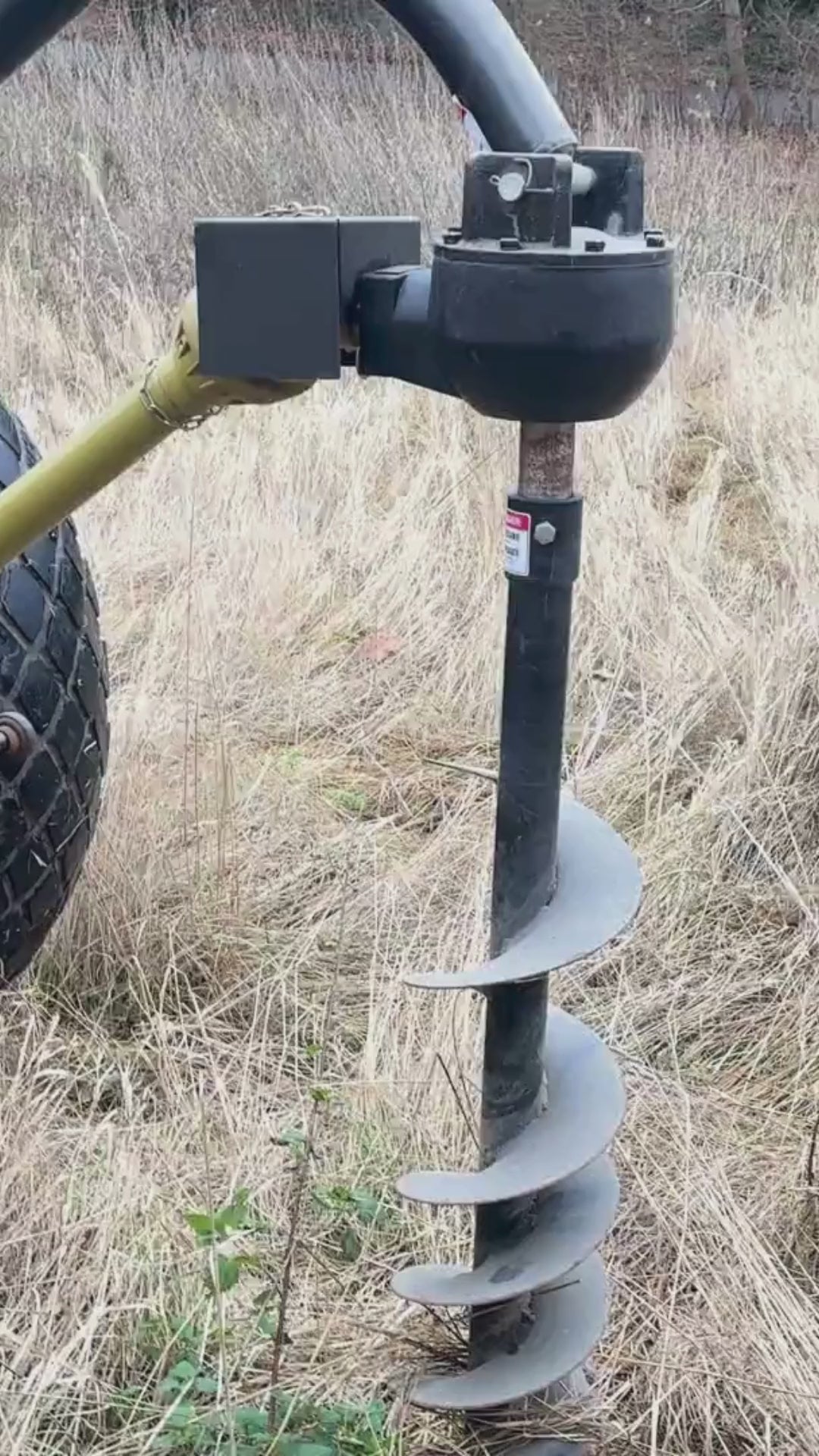 PÆLEBORE